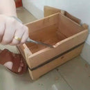 3/6/12 peças, ferramenta de entalhe em madeira para marceneiros