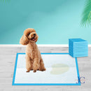 Manta super absorvente higiênico para cães e gatos.