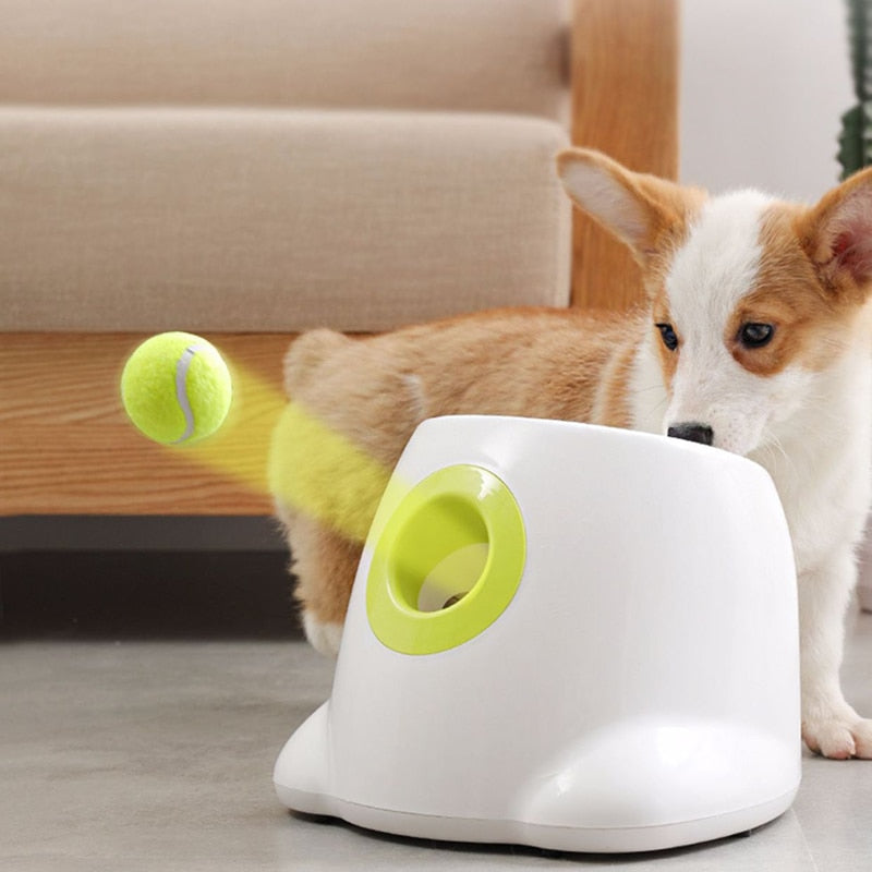 Lançador de bolas para cães.