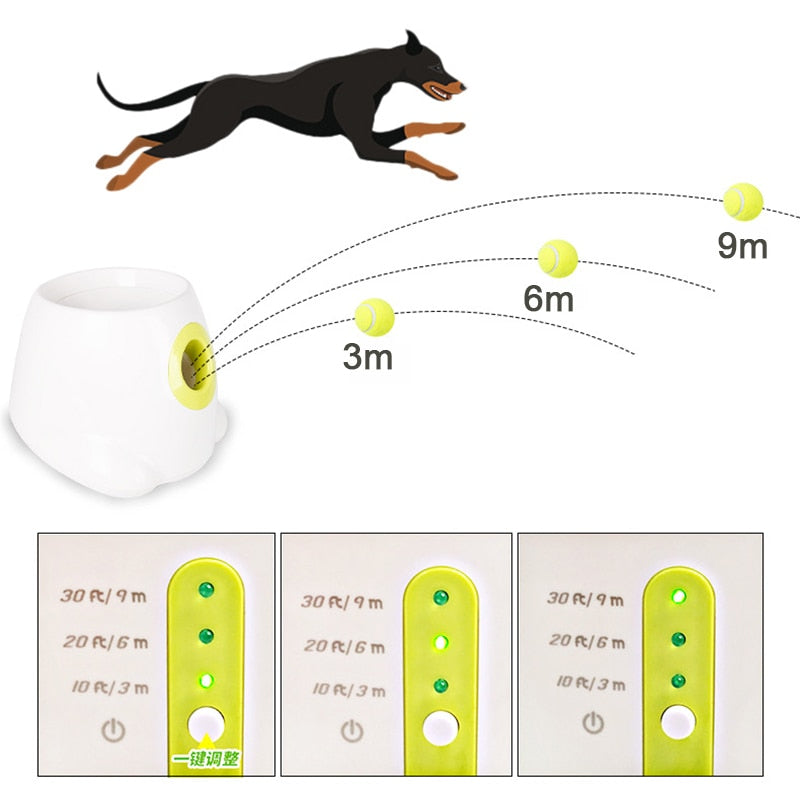 Lançador de bolas para cães.